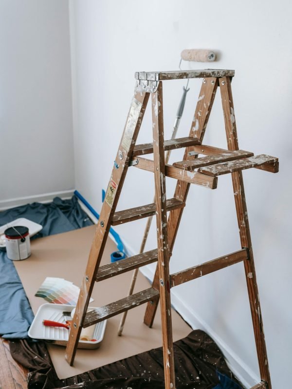 pexels-blue-bird-7217925 pexels-blue-bird-7217925