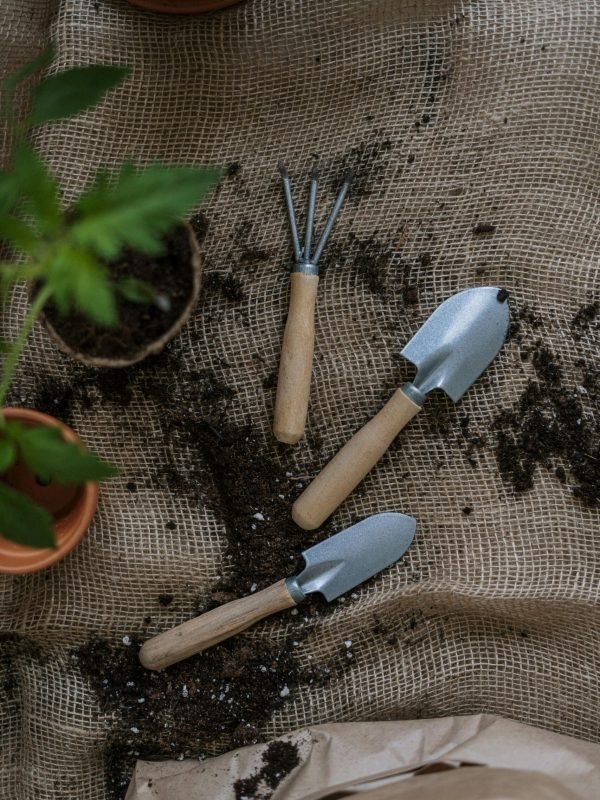 pexels-cottonbro-4503269 pexels-cottonbro-4503269